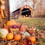 apples and pumpkins_1473967383817_6081115_ver1.0
